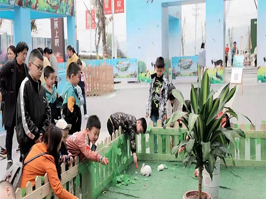 百鸟齐聚百鸟展海洋生物展租赁出售