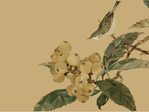 LowPoly-枇杷山鸟图