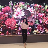 Design_nF的头像
