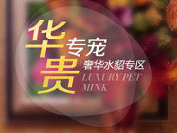 皮草专区海报（个人主页-ZMjY0MzQ1Ng==） - 电商 - 站酷设计师zhifeel原创素材 - 站酷ZCOOL