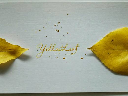 文字遇上花（個人主頁-ZMTcxNDE2NDg=） - 書法 - 站酷設(shè)計(jì)師畫室的耗耗原創(chuàng)素材 - 站酷ZCOOL