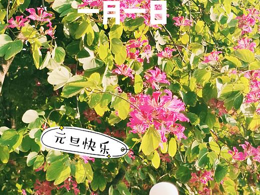 我的第一个玩具捣蛋小兵HALU实体要来咯!