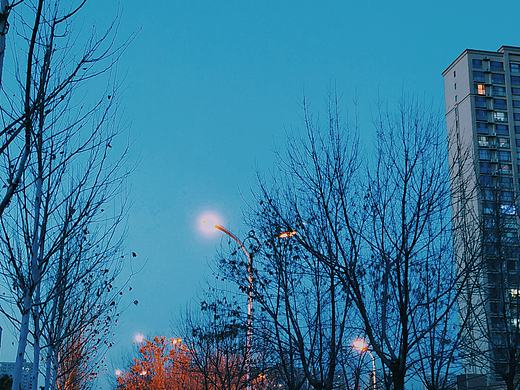 2月16日晚的东营（个人主页-ZMzM0NDExMzI=） - 风光摄影 - 站酷设计师老虎嘛嘛原创素材 - 站酷ZCOOL