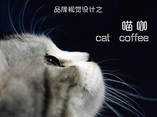 vI设计，猫主题咖啡厅