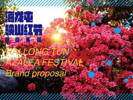 海龍屯——映山紅節(jié)