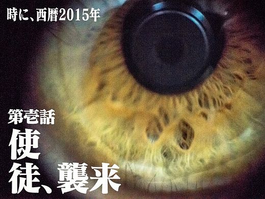 使徒“灿鸿”来袭（个人主页-ZMTI3Mjg3NTY=） - 其他摄影 - 站酷设计师浮沉流星原创素材 - 站酷ZCOOL