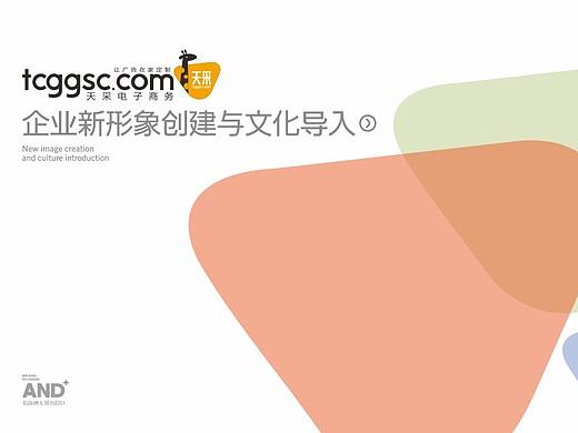 上海天采LOGO设计新形象创建与文化导入 VI 视觉系统手册
