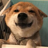 占宽宽的头像