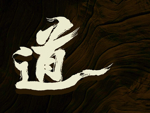 商业案例之有道