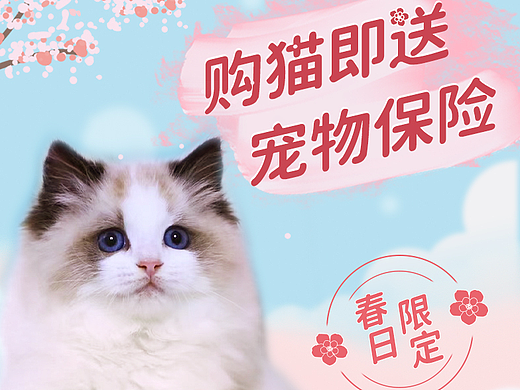 宠物类-大众点评-轮播图