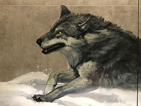 涂鸦 《狼图腾》 陈旭南壁画作品