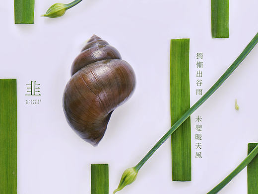 韭与螺