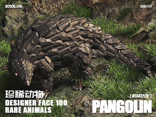 【珍稀动物】穿山甲守护计划