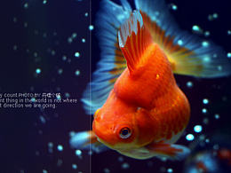 素材库