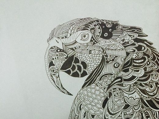 鹦鹉（个人主页-ZMTQ4ODM4MjQ=） - 创作习作 - 站酷设计师友善的热心市民原创素材 - 站酷ZCOOL