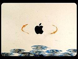 魚荷戲水··（個(gè)人主頁(yè)-ZNTY3MjMy） - 品牌 - 站酷設(shè)計(jì)師居然哥哥原創(chuàng)素材 - 站酷ZCOOL