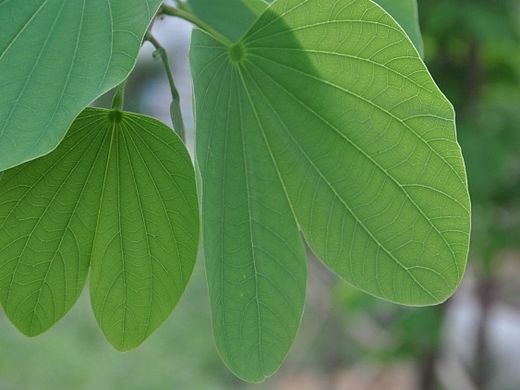 沉淀中寻找方向