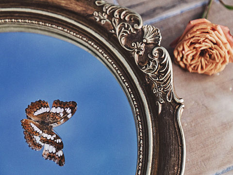 花·她（个人主页-ZNDM5NjY3OTI=） - 人像摄影 - 站酷设计师摄影师Ki原创素材 - 站酷ZCOOL