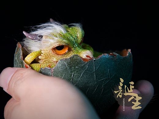 诞生——龙之章 