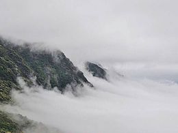 随意