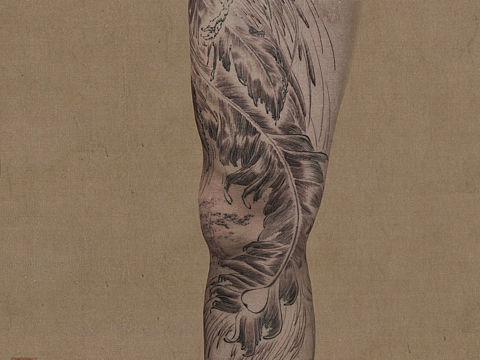 凤 通体局部 线条