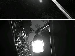 光意