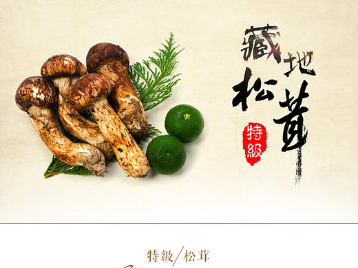 淘宝京东详情页 松茸详情 菌类详情页 详情页设计 松茸 美食详情页  详情页模板