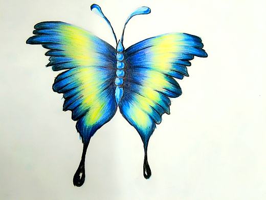彩铅画 两只蝴蝶