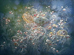 水母