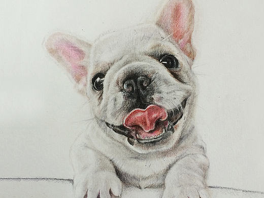 彩铅——《萌犬》（个人主页-ZMTg0NDE0MjA=） - 绘画 - 站酷设计师caoduo原创素材 - 站酷ZCOOL