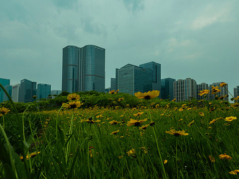 新光汇（个人主页-ZNDY1Nzc1MjQ=） - 风光摄影 - 站酷设计师Stone_Studio8原创素材 - 站酷ZCOOL