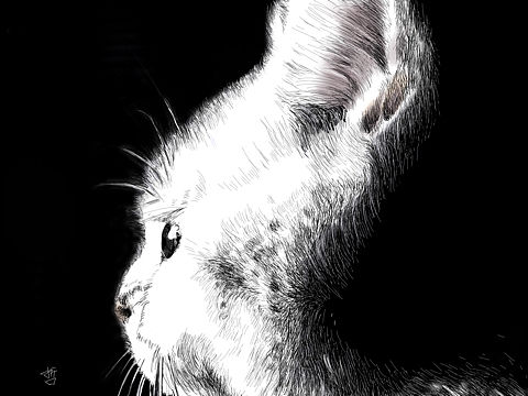 涂喵记4,手绘板