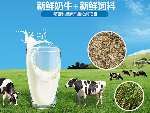 牛奶 众筹 详情 产品页