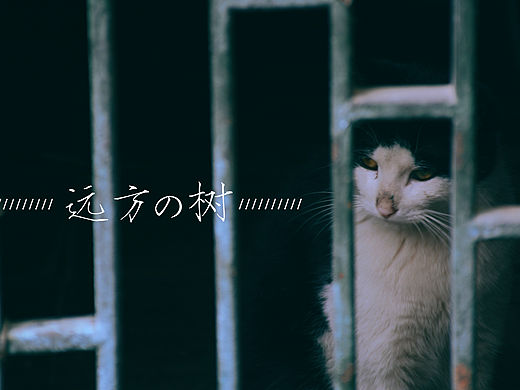 杂物