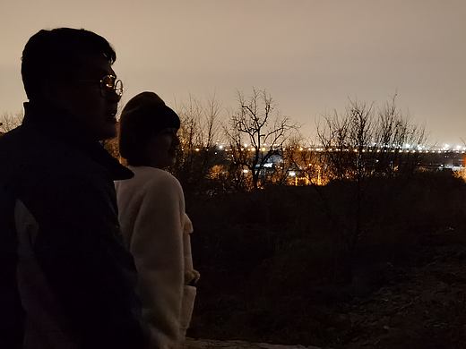 夜猫子族