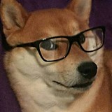 东东东呱的头像