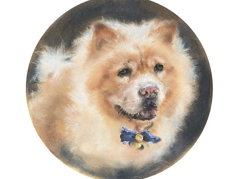 色粉画-动物肖像｜松狮狗