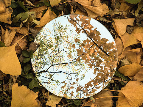 一镜之秋🍂☁️