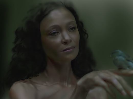 西部世界女二号