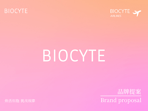 BIOCYTE行李箱礼盒（个人主页-ZNTk2NTMxMTY=） - 生活用品 - 站酷设计师fw猫原创素材 - 站酷ZCOOL