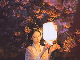 夜樱