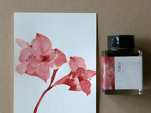 钢笔墨水手绘花卉插画绘画教程头像壁纸水彩教程古风