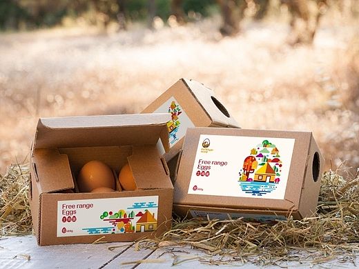 土鸡蛋包装设计[排沙设计]