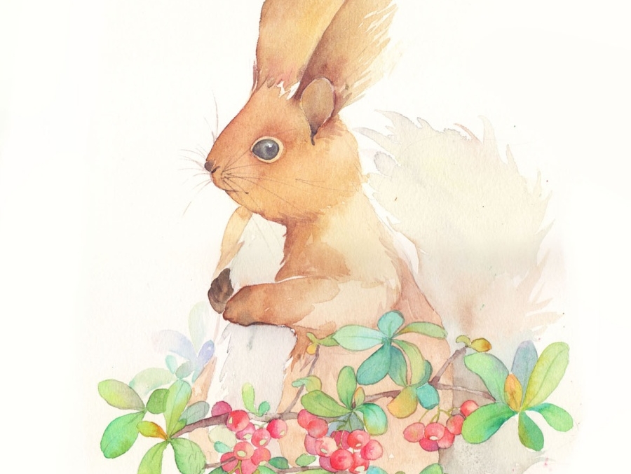 松鼠君们