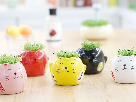 招財(cái)貓?jiān)耘啵▊€(gè)人主頁(yè)-ZMTQ1MzQ0Mjg=） - 電商 - 站酷設(shè)計(jì)師打盹的松鼠原創(chuàng)素材 - 站酷ZCOOL