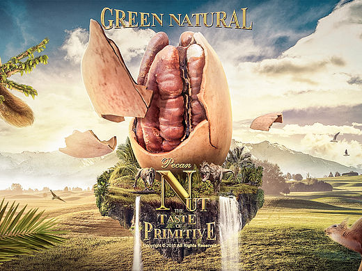 堅(jiān)果 合成圖（個(gè)人主頁-ZMTYxMDMzODg=） - 海報(bào) - 站酷設(shè)計(jì)師胖頭魚7794原創(chuàng)素材 - 站酷ZCOOL