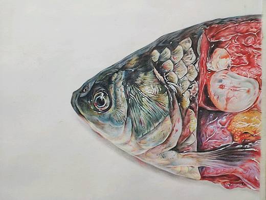 最近画的彩铅画