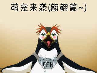 萌宠来袭
