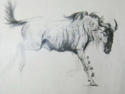 小随笔（个人主页-ZMjkzODk2OA==） - 创作习作 - 站酷设计师崔崔_MAY原创素材 - 站酷ZCOOL