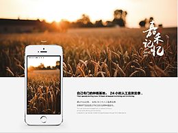 黑龙江嘉禾记忆有机米产品手册设计